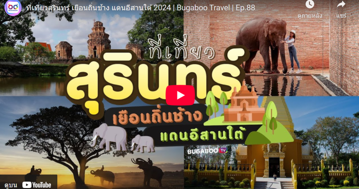 Trakool Store สุรินทร์ | ที่เที่ยวสุรินทร์ เยือนถิ่นช้าง แดนอีสานใต้ 2024 | Bugaboo Travel